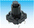 TSW08115(8�8)